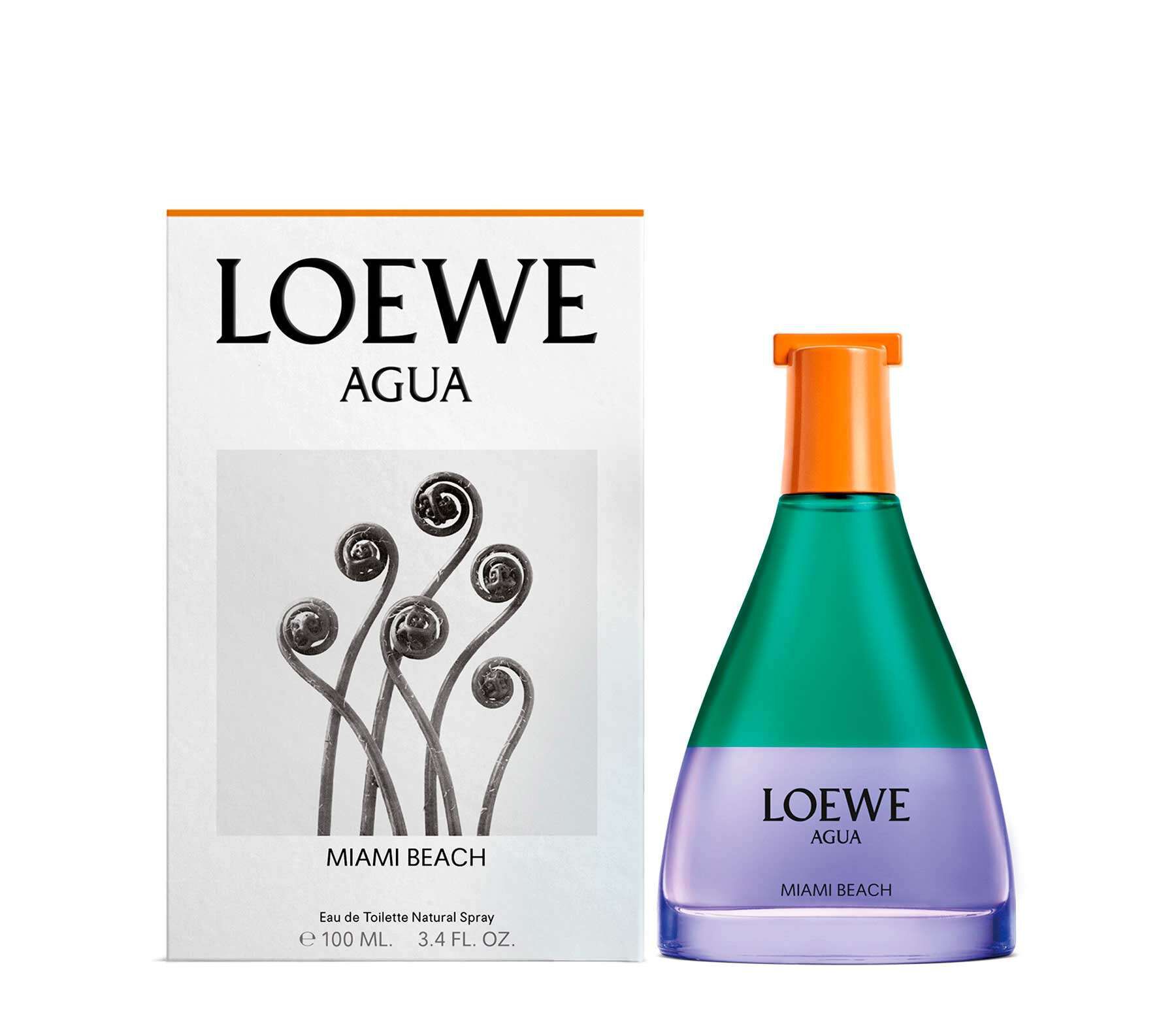 Buy online LOEWE Agua Miami Beach 