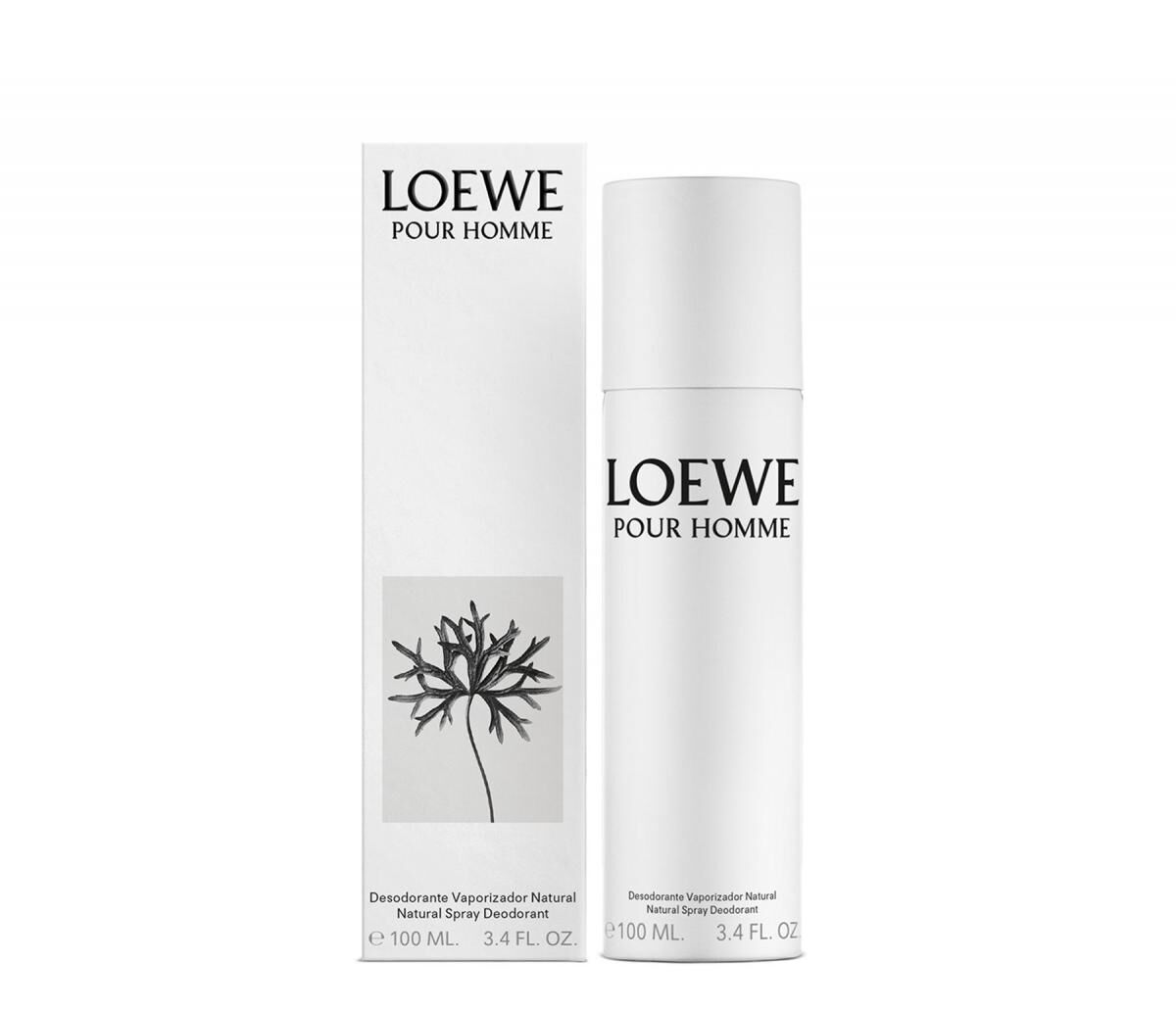 loewe pour homme