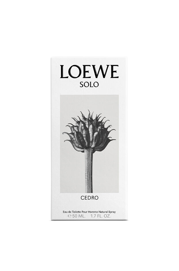 Buy online LOEWE Solo Cedro | LOEWE Perfumes