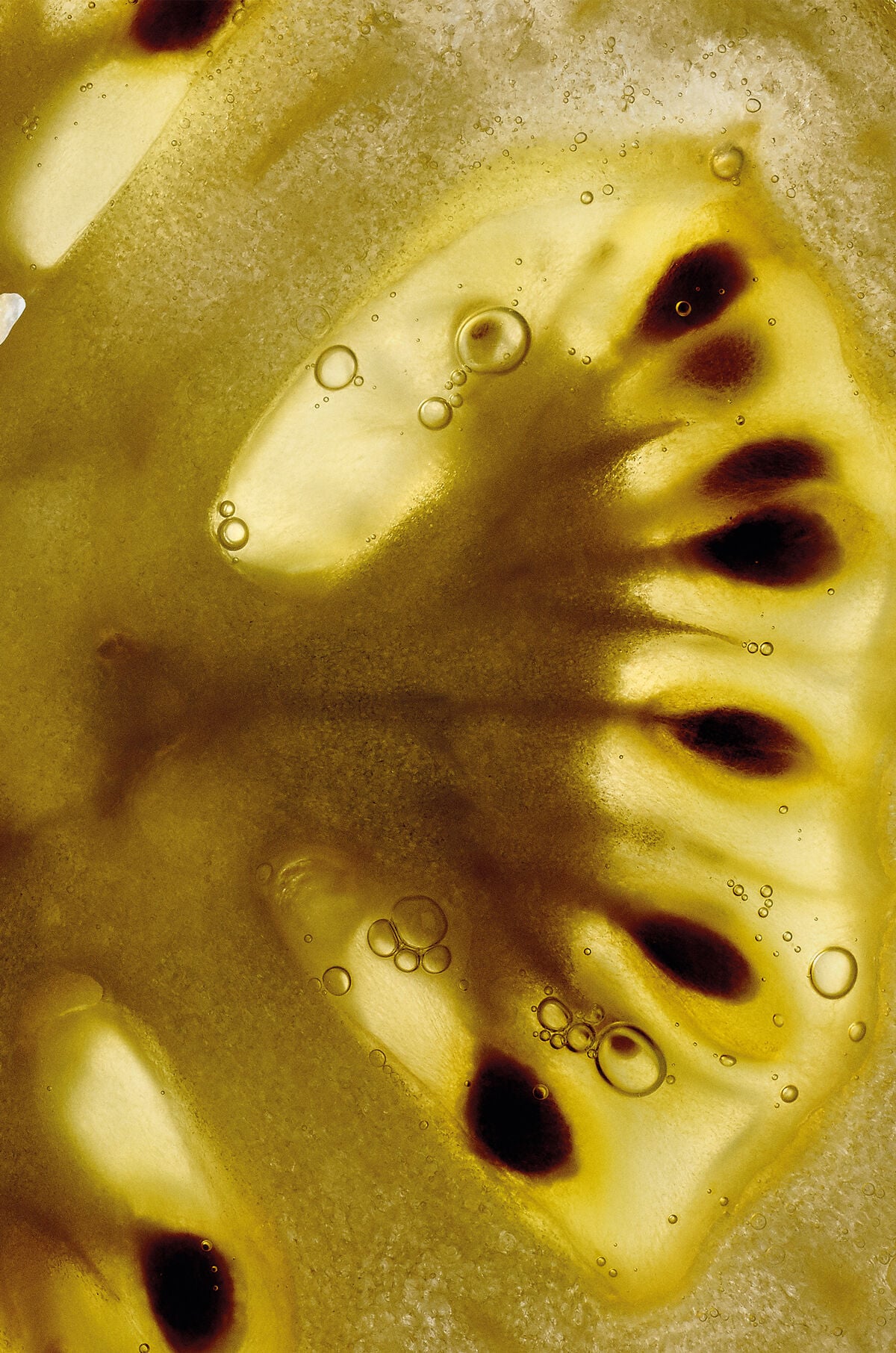 Tomato Leaves hand cream | LOEWE Perfumes