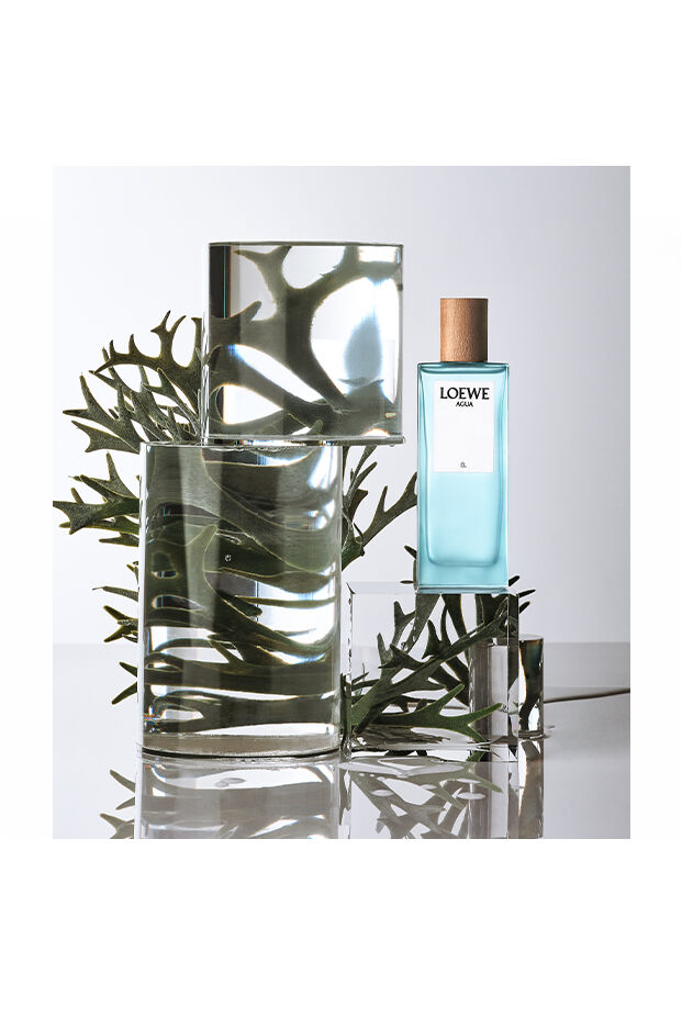 Buy LOEWE Agua Él | Perfumes