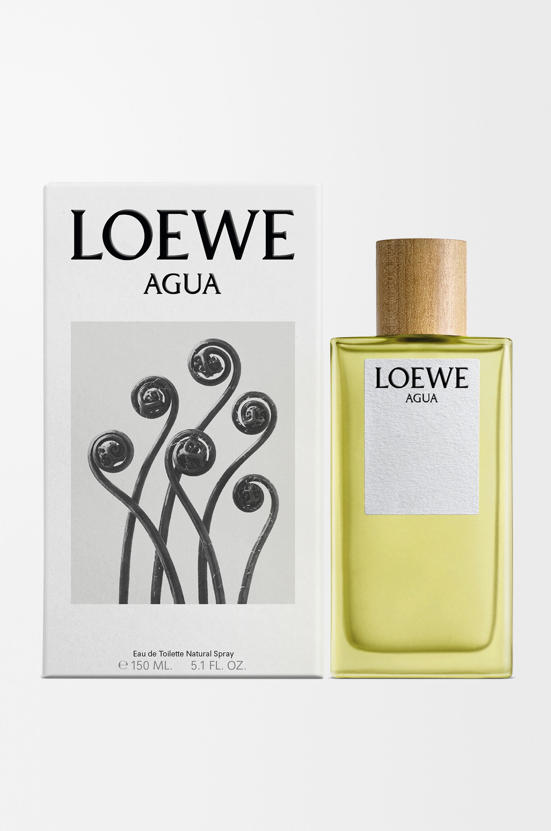 Loewe Agua | LOEWE Perfumes