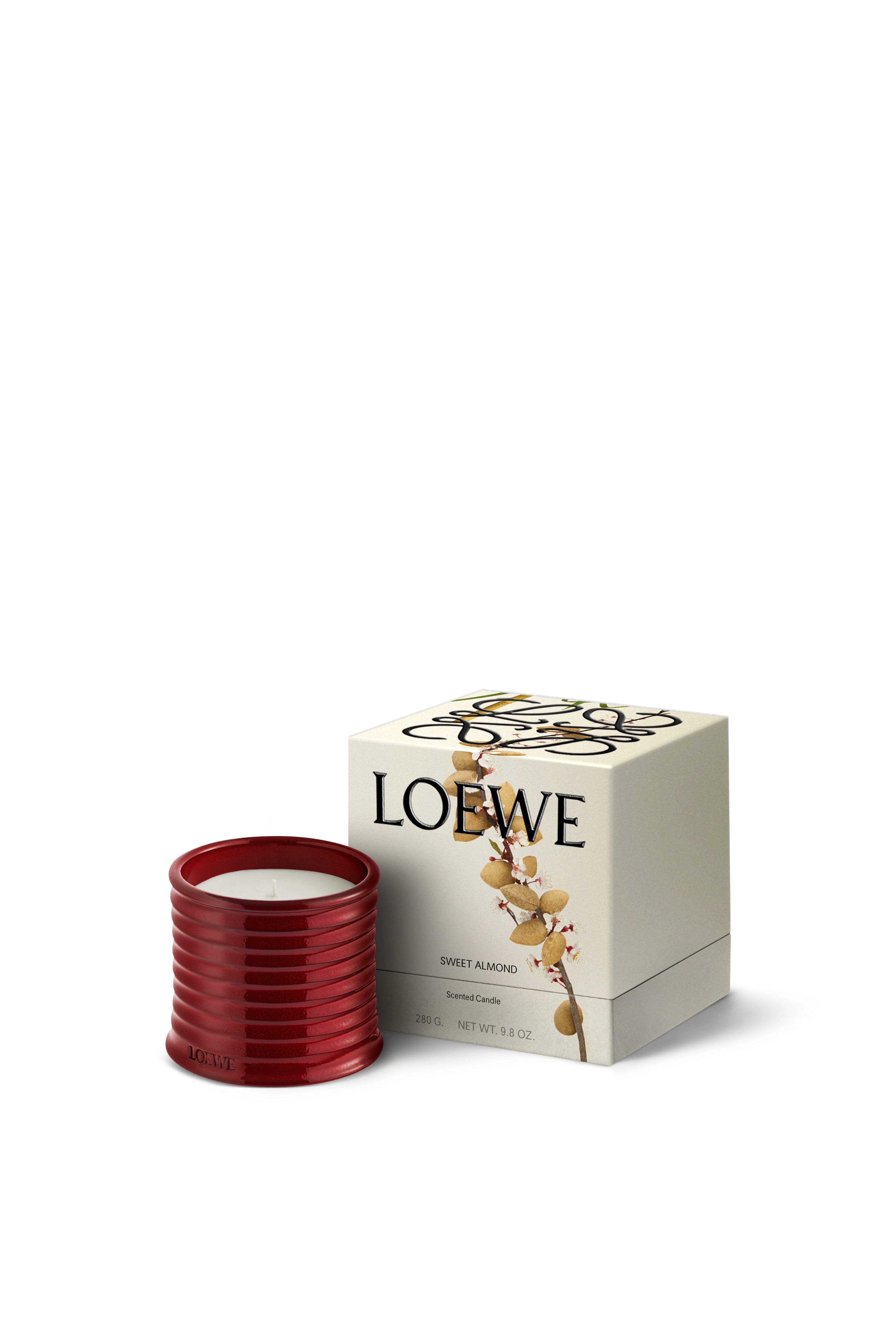 Midi Sweet Almond Candle | LOEWE Perfumes