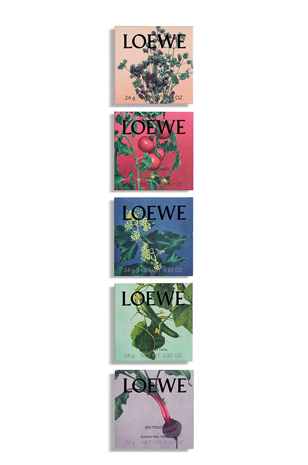 LOEWE  ワックスタブレット　11種セット　ルームフレグランス