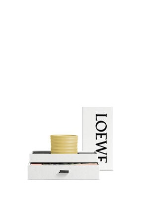 Cofre regalo LOEWE Home Scents