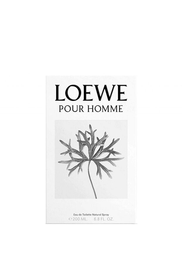 LOEWE Pour Homme Classic