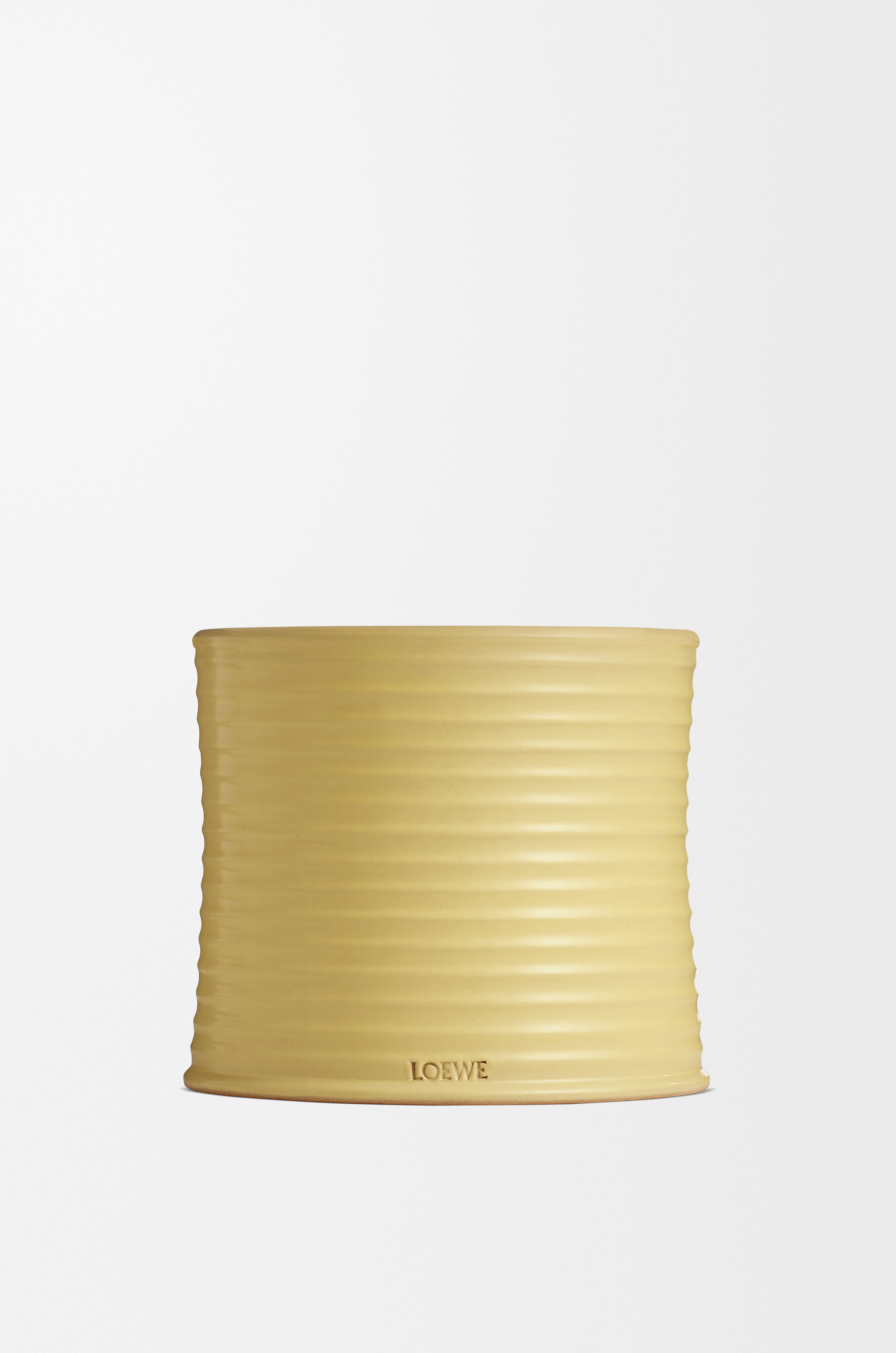 Honeysuckle | LOEWE Perfumes