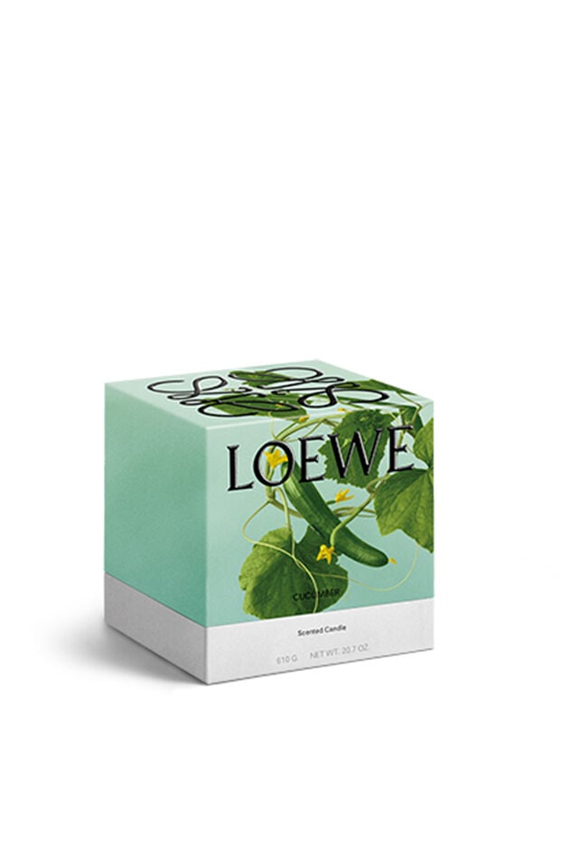 今すぐ購入 キュウリのキャンドル | ロエベ パルファム