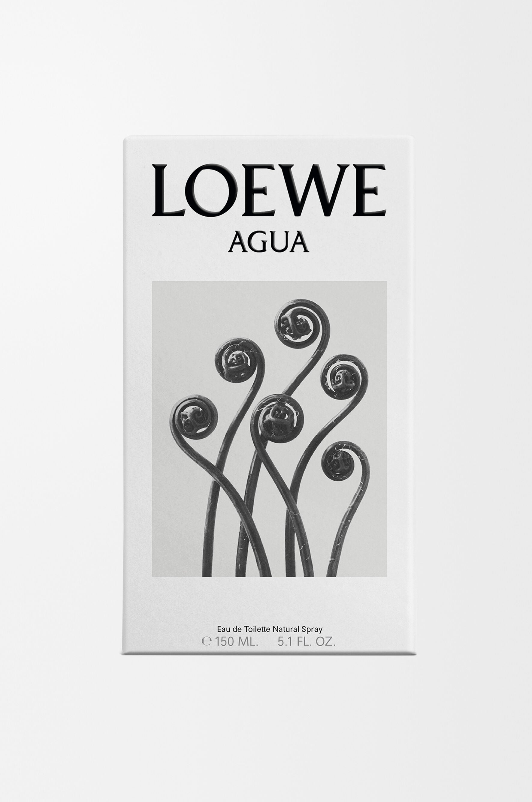 Loewe Agua | LOEWE Perfumes