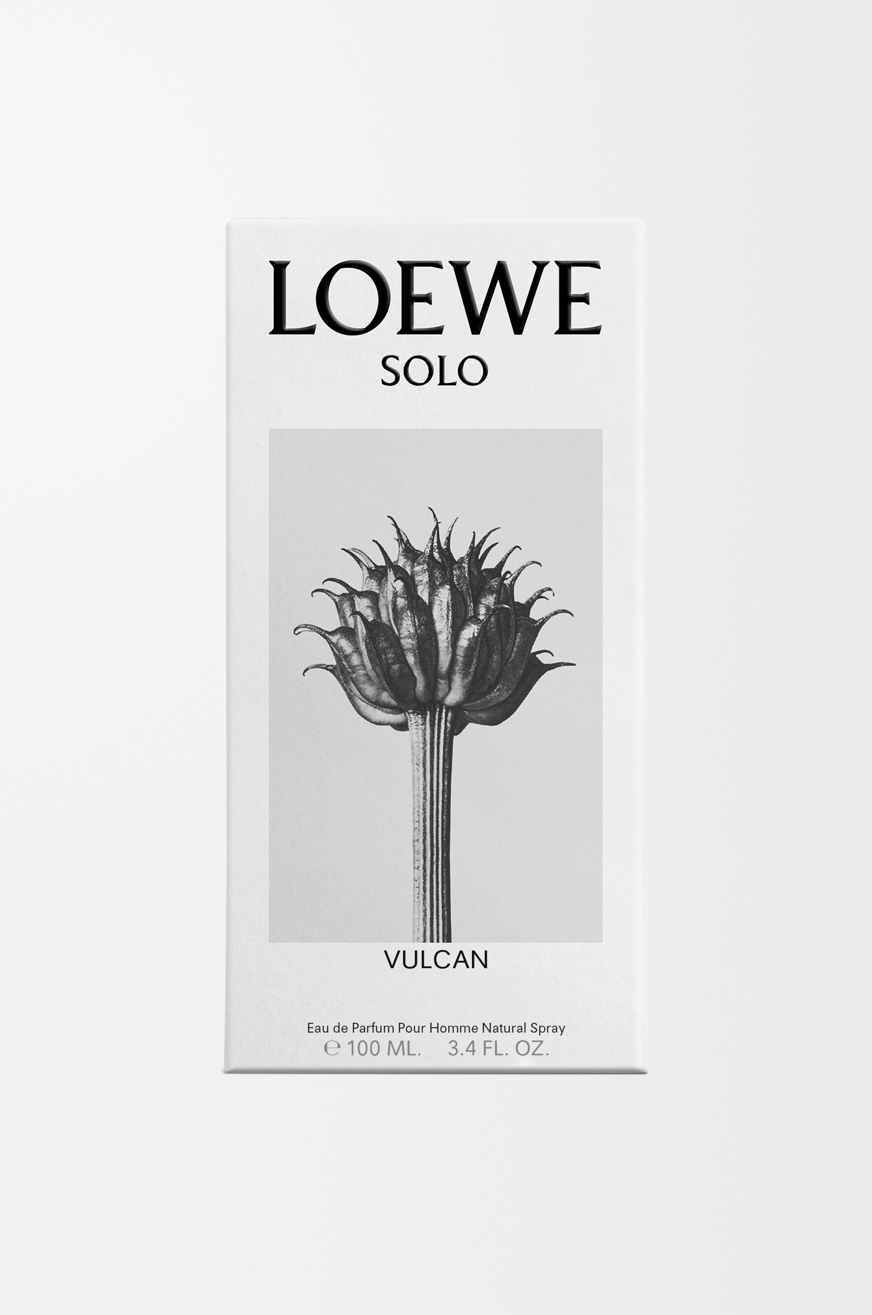 今すぐ購入 LOEWE Solo Vulcan Eau de Parfum 100ml | ロエベ パルファム