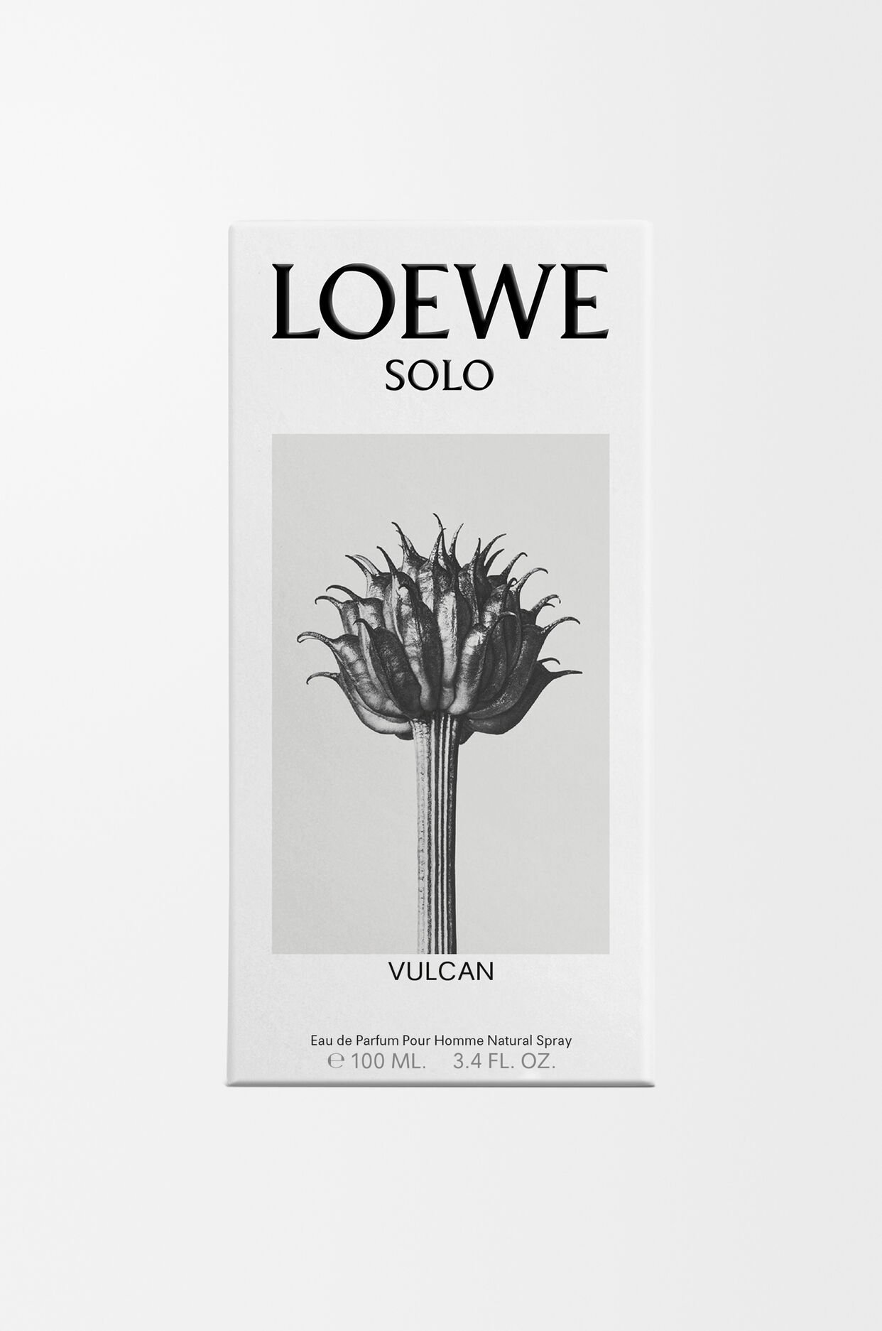 LOEWE Solo Vulcan EDP 100ml