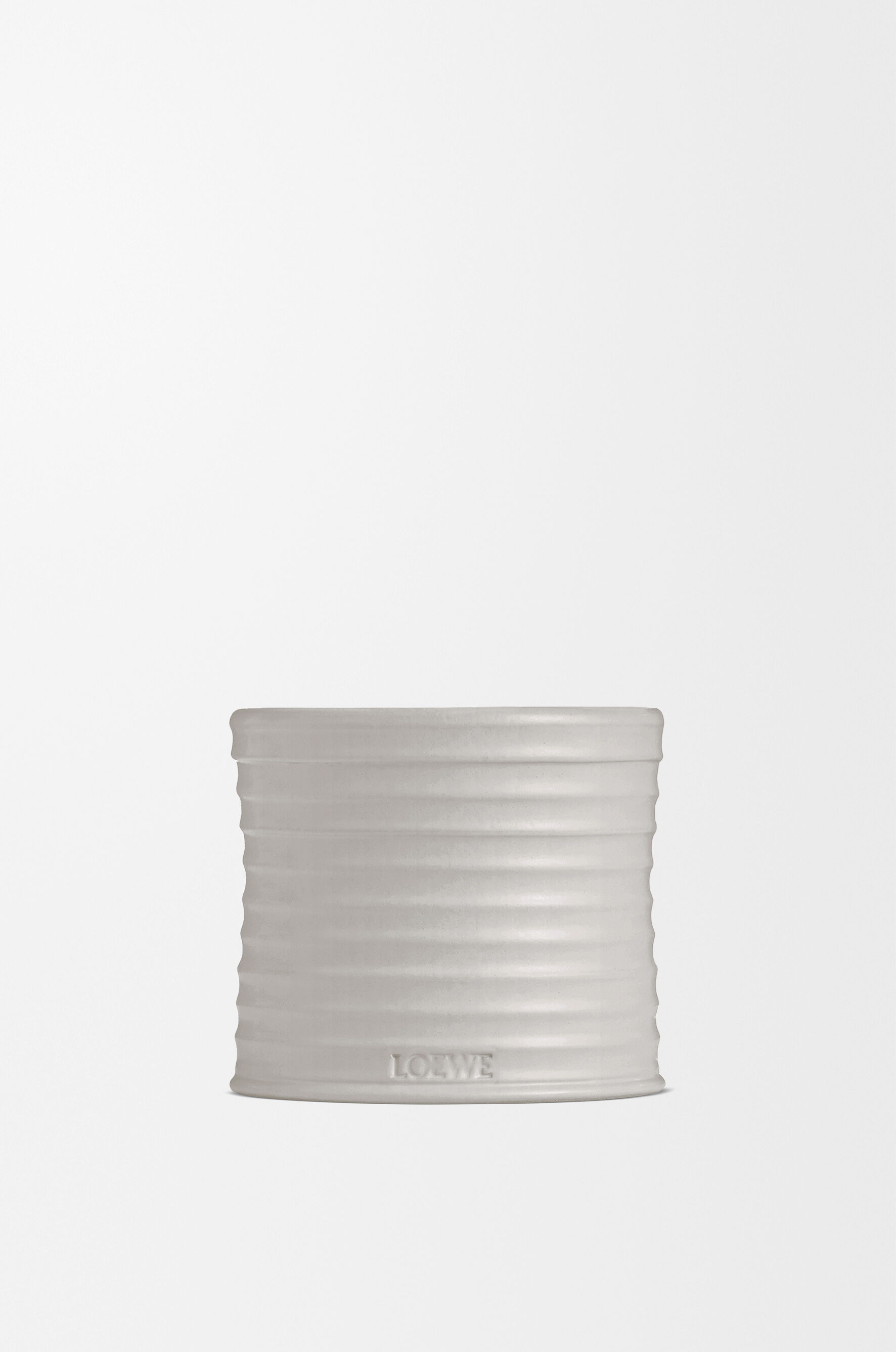Oregano | LOEWE Perfumes