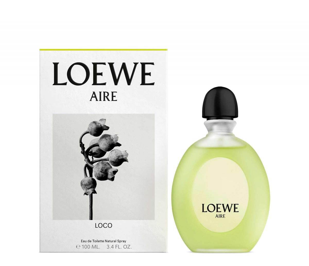 Buy online LOEWE Aire Loco Classic 
