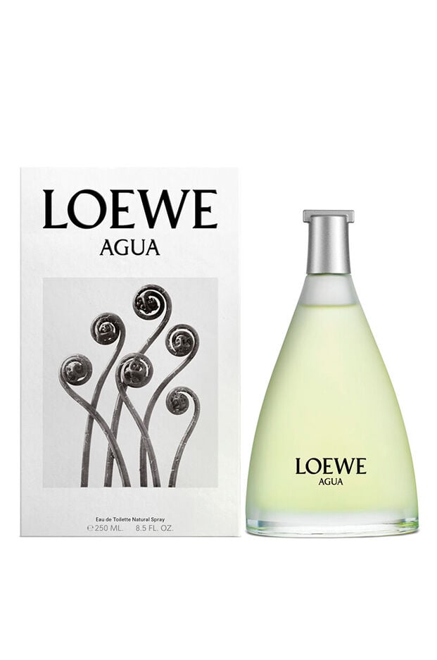loewe agua