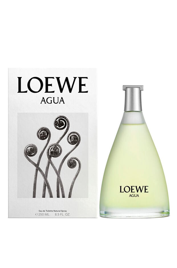 LOEWE Agua EDT Classic