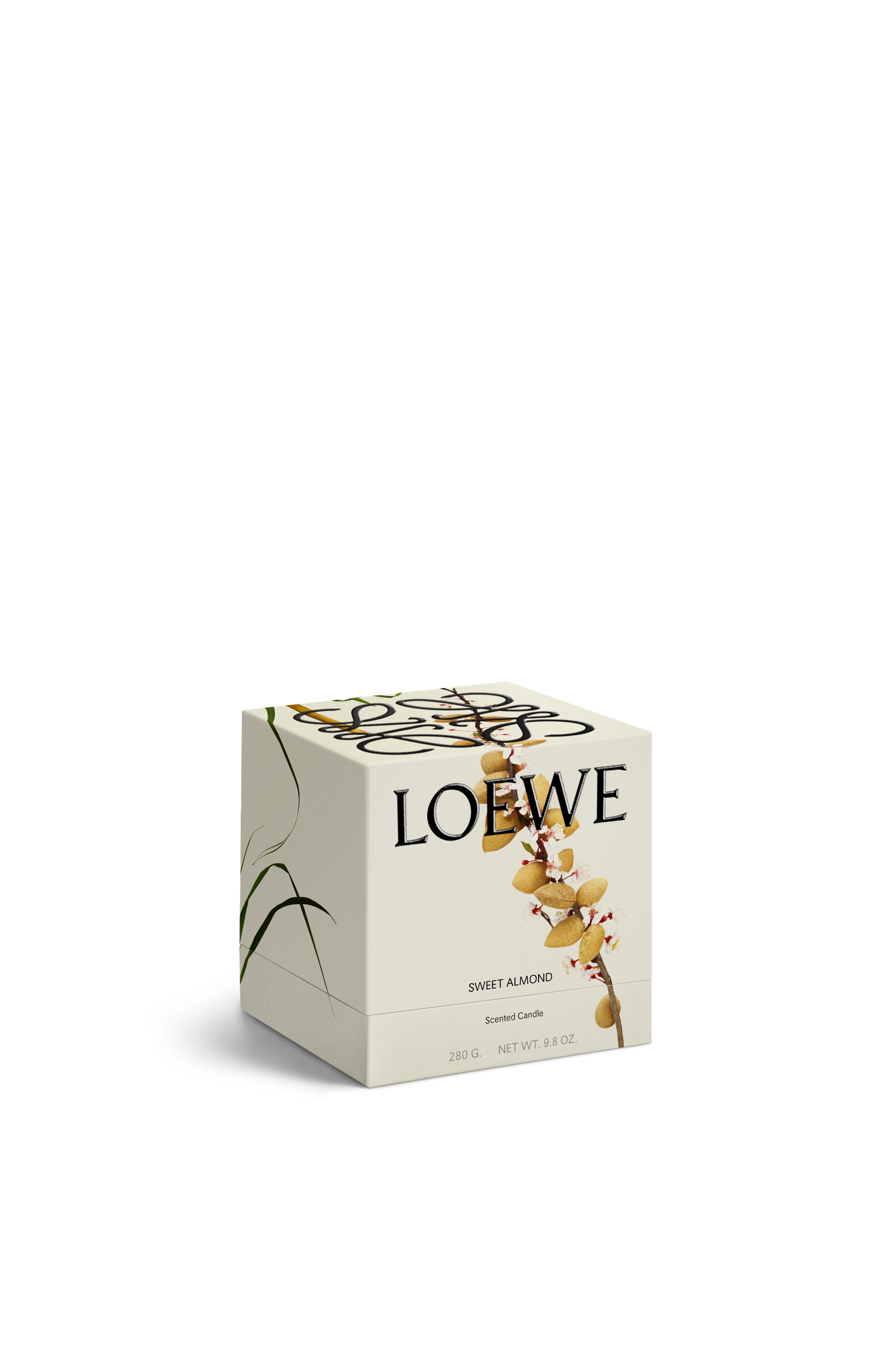 Midi Sweet Almond Candle | LOEWE Perfumes