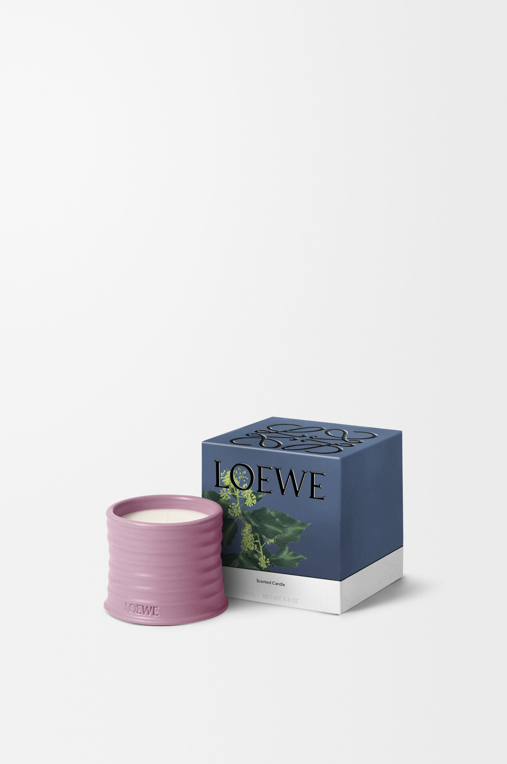 Ivy | LOEWE Perfumes