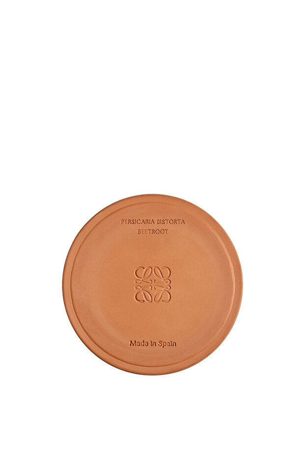 Medium Beetroot Candle 3 of 4