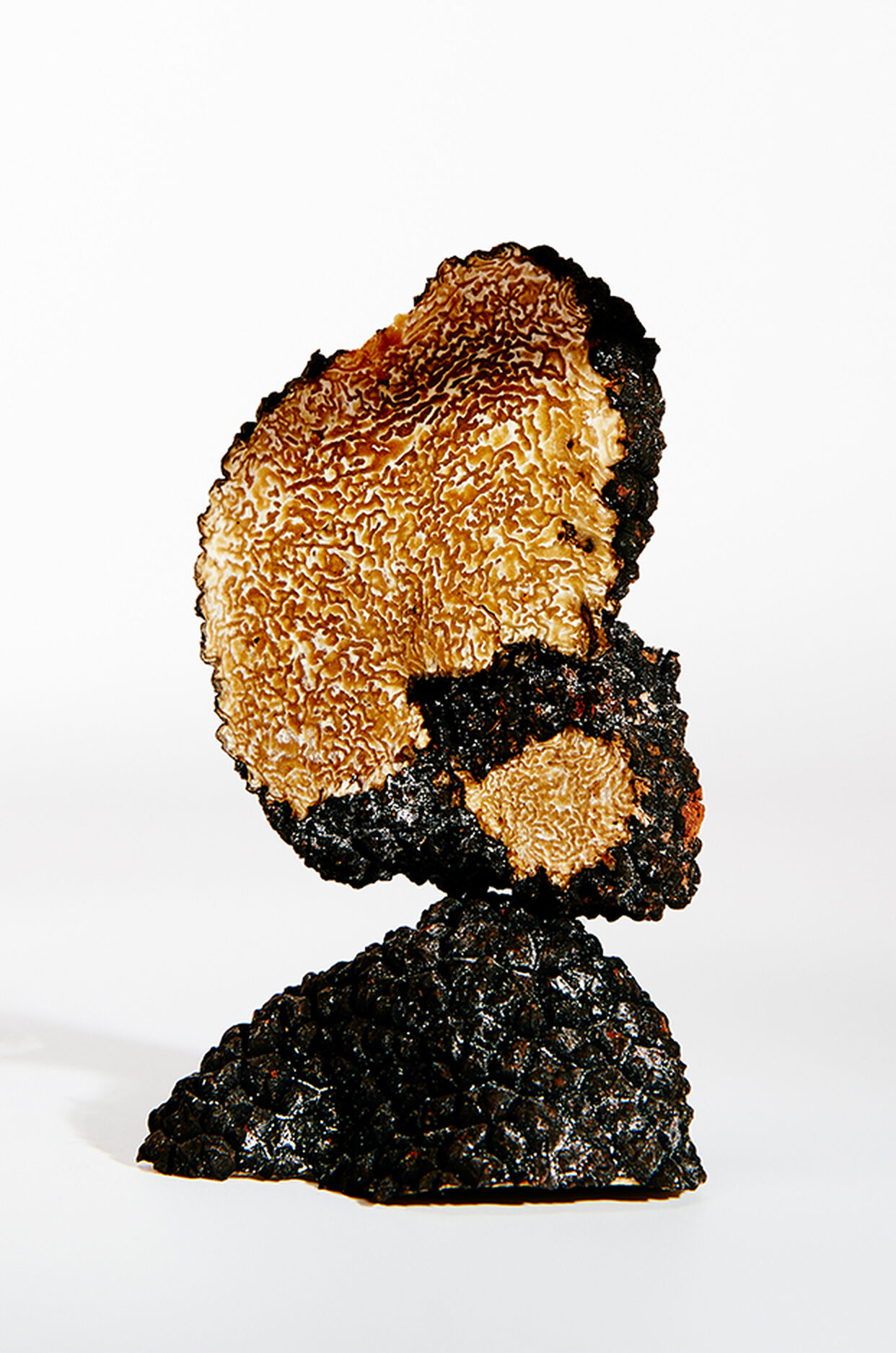 LOEWE Earth EDP 50ml