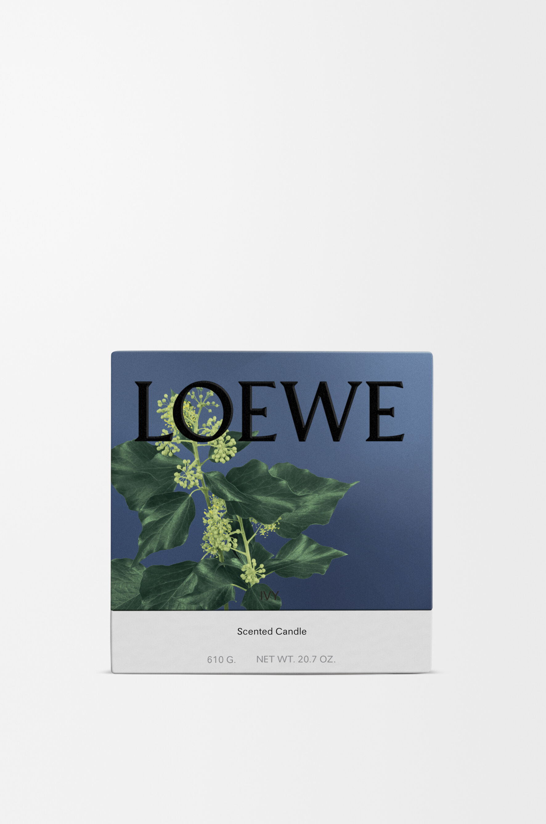 アイビー香水 | LOEWE Perfumes