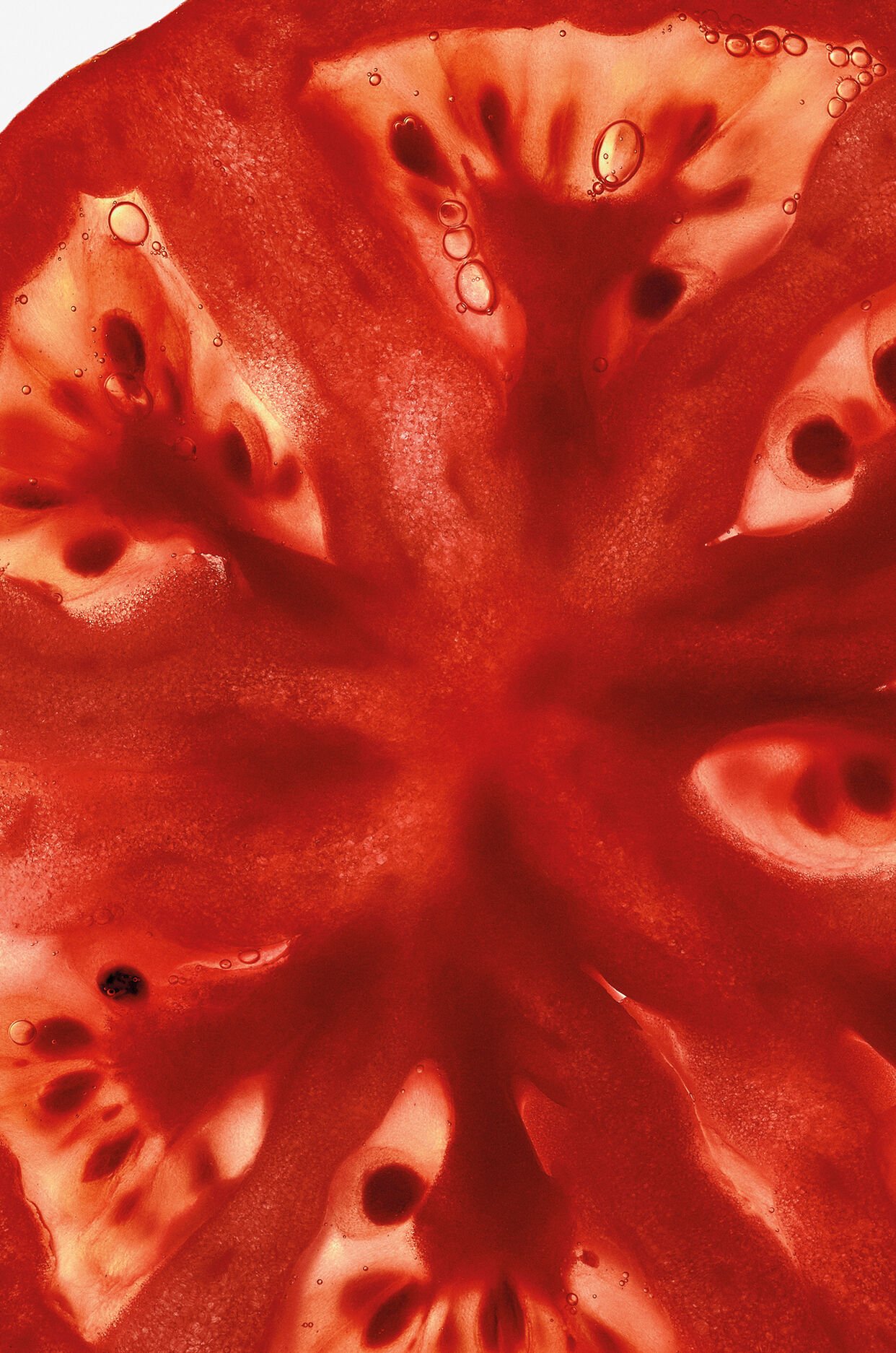 Tomato Leaves Hand Cleanser