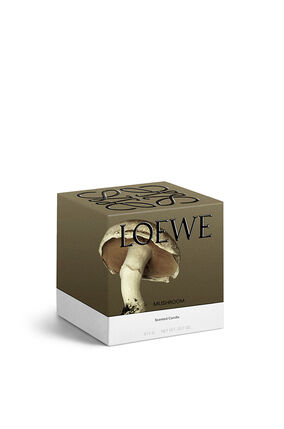 Vela mediana 'Mushroom'