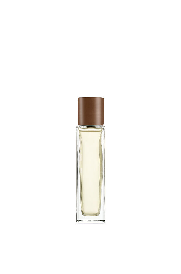 Coriander room spray 2 of 4