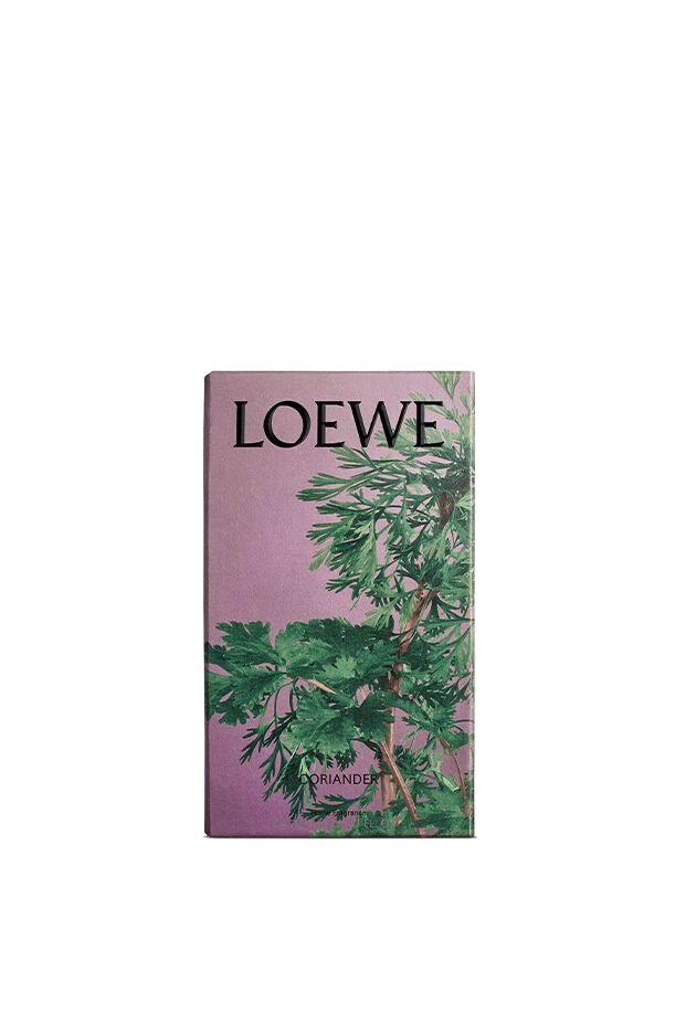 Loewe Coriander Perfume Online | website.jkuat.ac.ke
