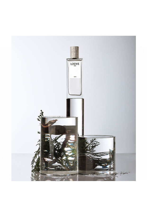 Buy online LOEWE 001 Man Eau de Parfum | LOEWE Perfumes