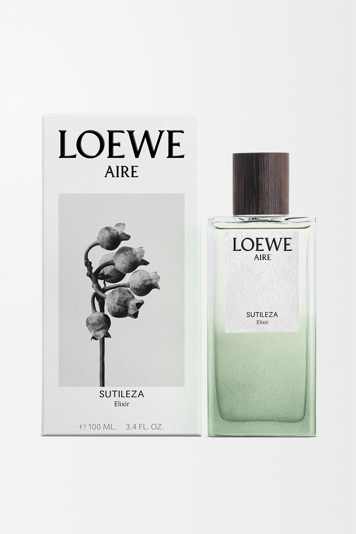 香水(ユニセックス) LOEWE AIRE SUTILIZA 100ml Amazon | Loewe Aire Sutileza Eau De Toilette 100ml / ロエベ アイレ