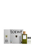 LOEWE Esencia EDP 150ml Gift Set
