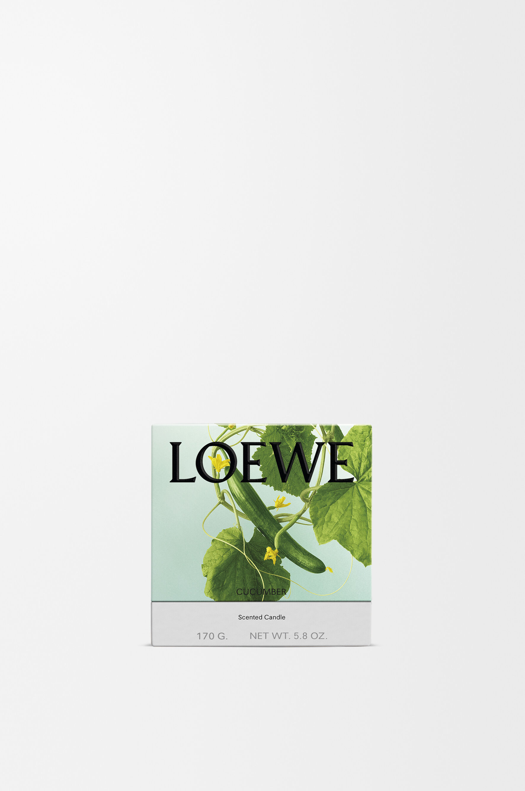 Cucumber | LOEWE Perfumes