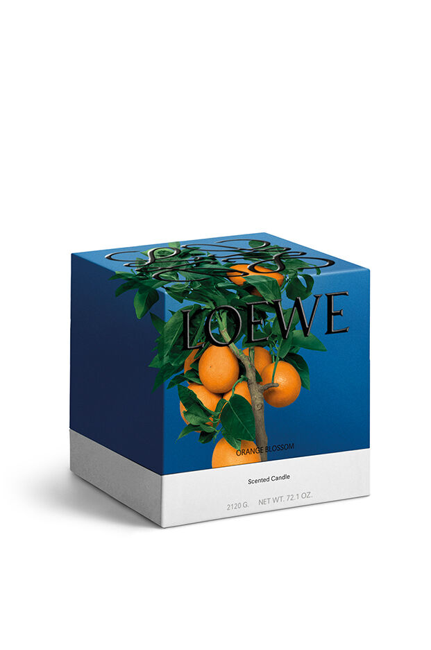 Vela grande Orange Blossom 2 de 6