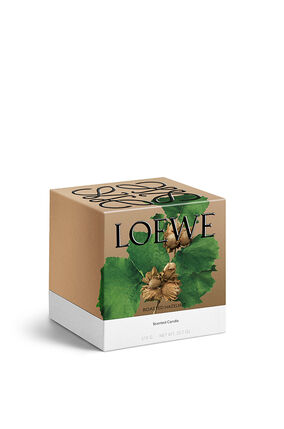 「Roasted Hazelnut」 キャンドル