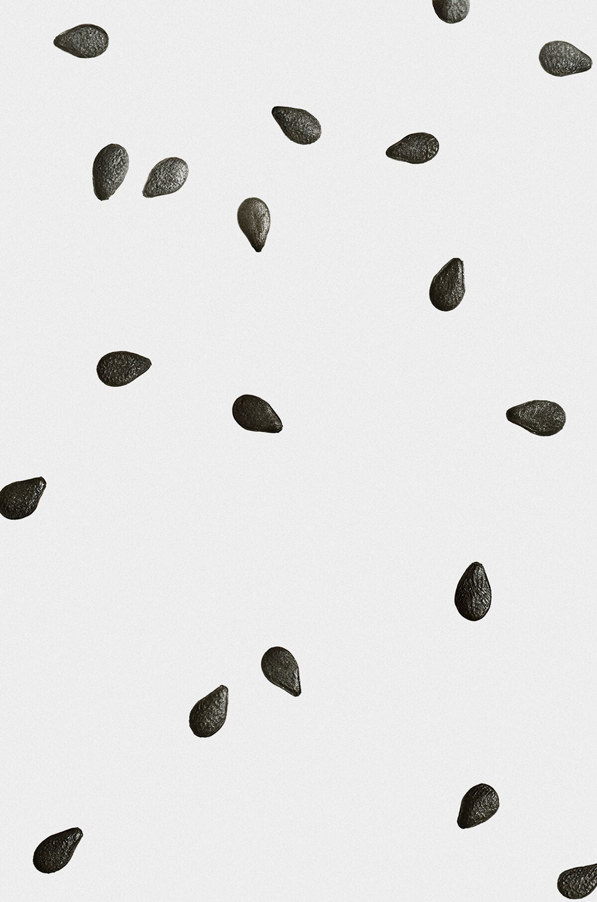 Midi Black Sesame Candle | LOEWE Perfumes