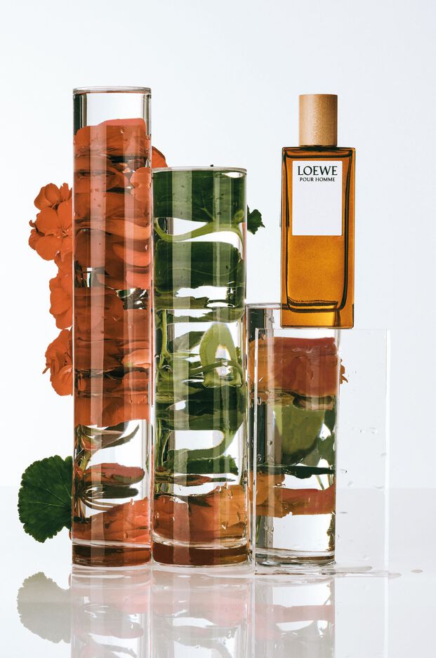 LOEWE Pour Homme EDT