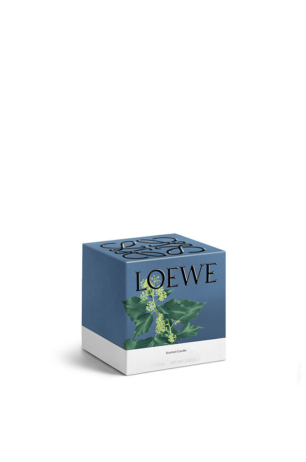 Vela pequeña Ivy 2 de 6