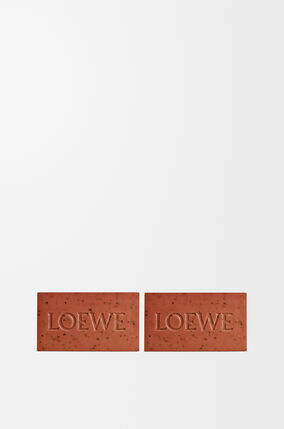 Tomato Leaves Soap Bar Duo Set