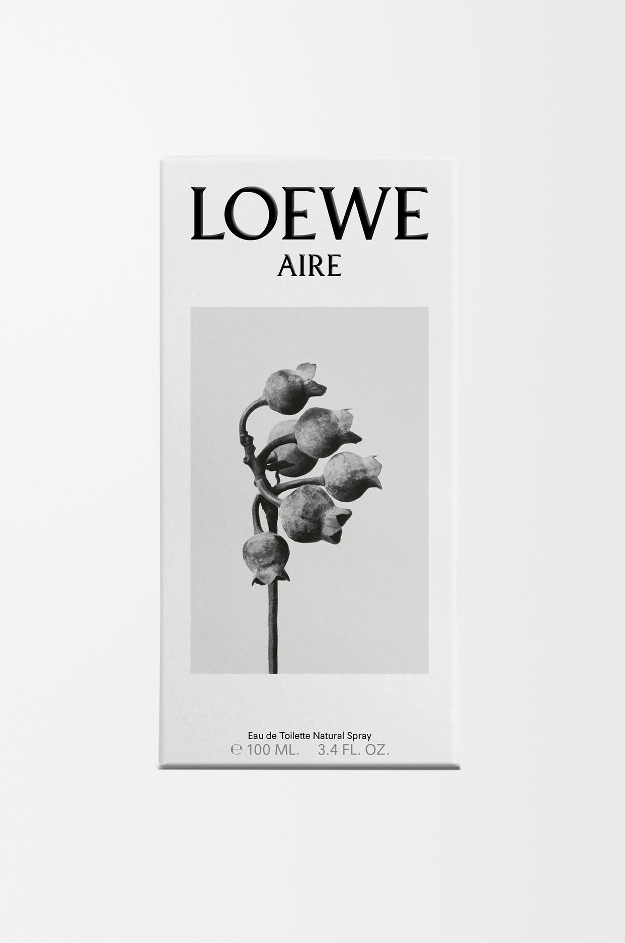 LOEWE Aire EDT 100ml