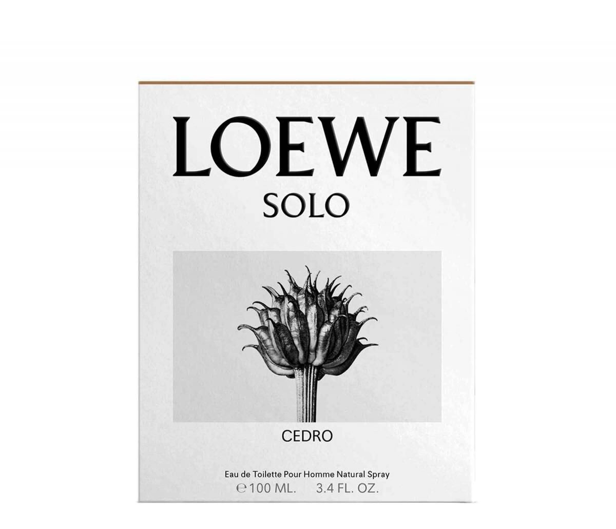 Solo Loewe Cedro Flash Sales, 52% OFF | www.ingeniovirtual.com