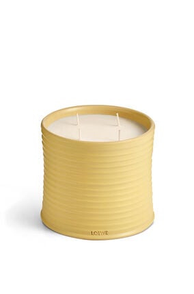 Large Honeysuckle Candle