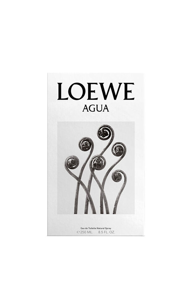 Buy online LOEWE Agua EDT Classic | LOEWE Perfumes