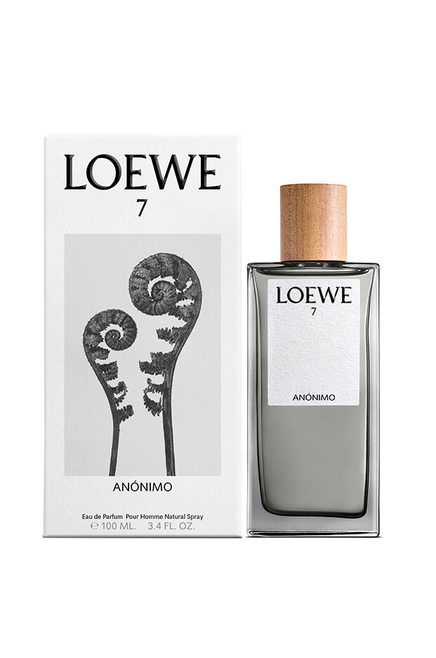 loewe anonimo 7