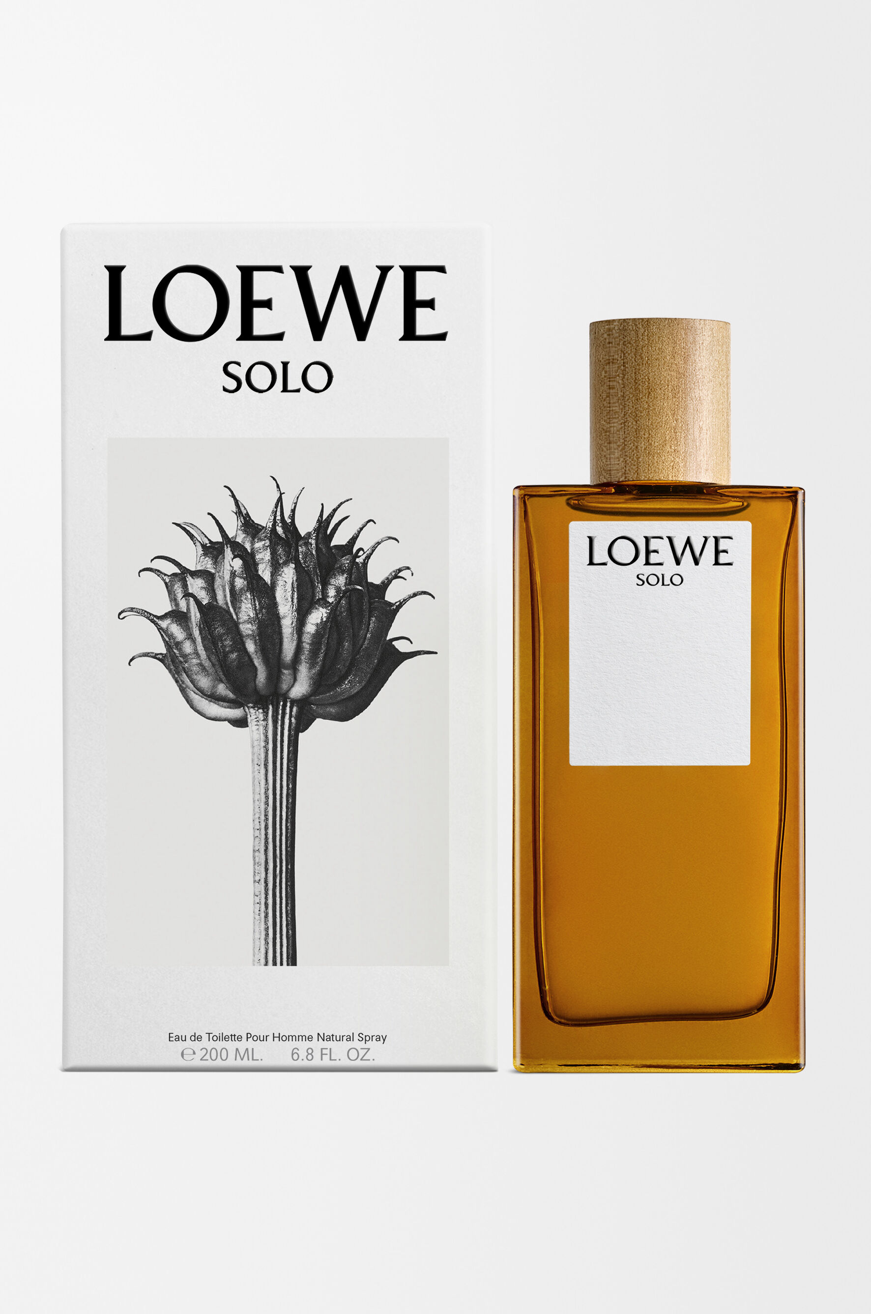 Loewe Solo | LOEWE Perfumes