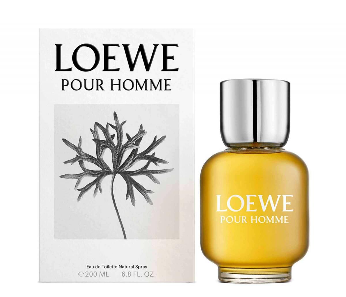 Buy online LOEWE Pour Homme Classic 