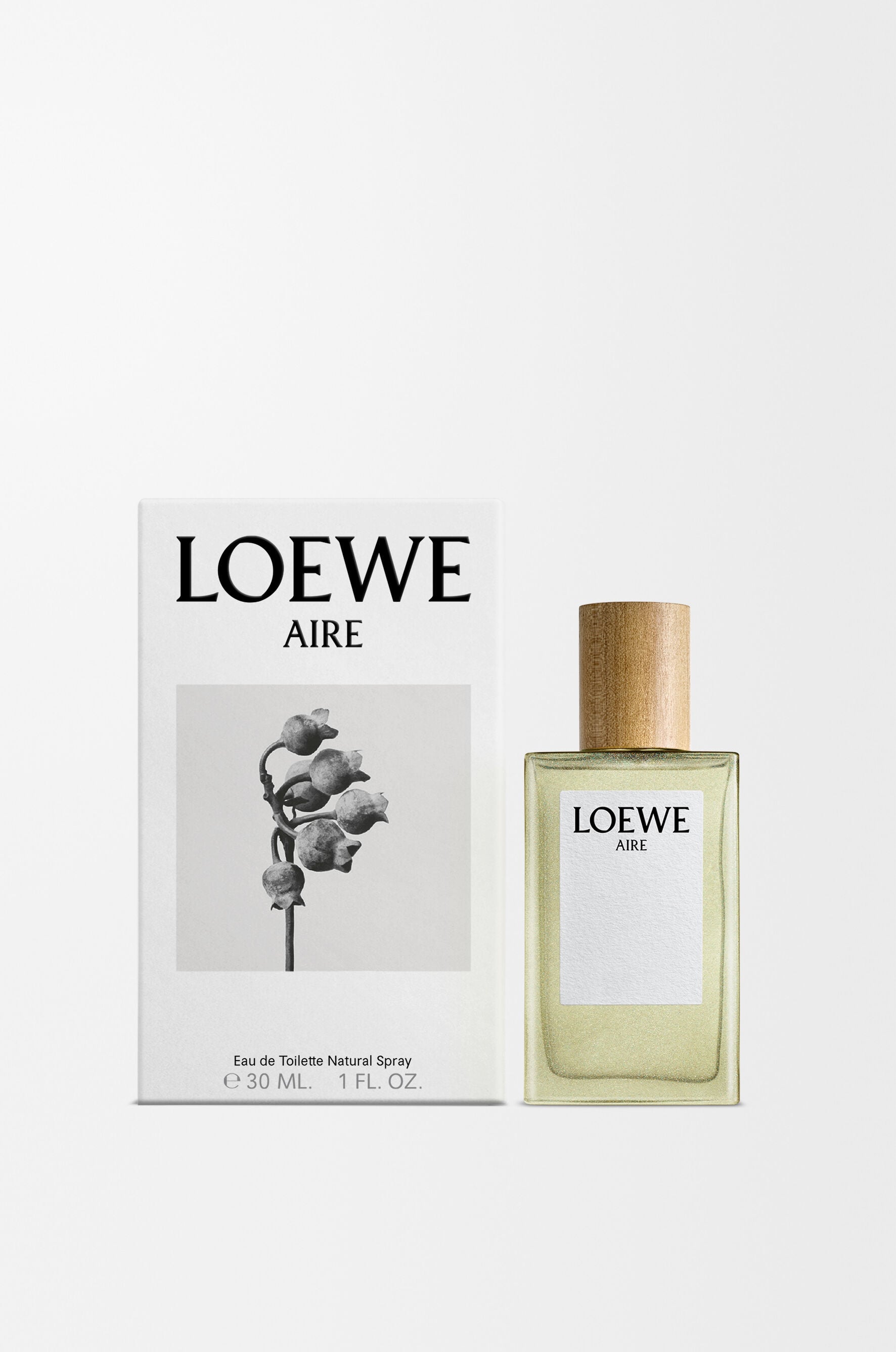 LOEWE AIRE オードトワレ 100ml Loewe Aire Sutileza オードトワレ 100ml 緑 | Dressinn