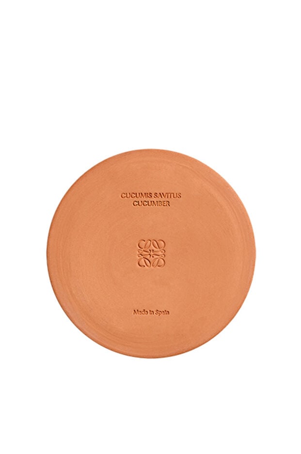 今すぐ購入 キュウリのキャンドル | ロエベ パルファム