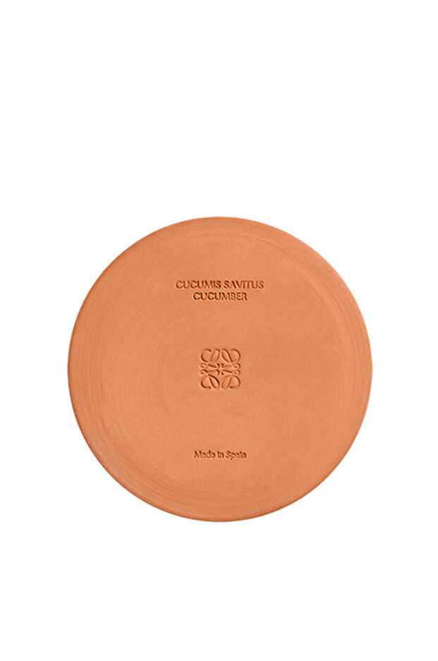 Vela grande Cucumber 3 de 5