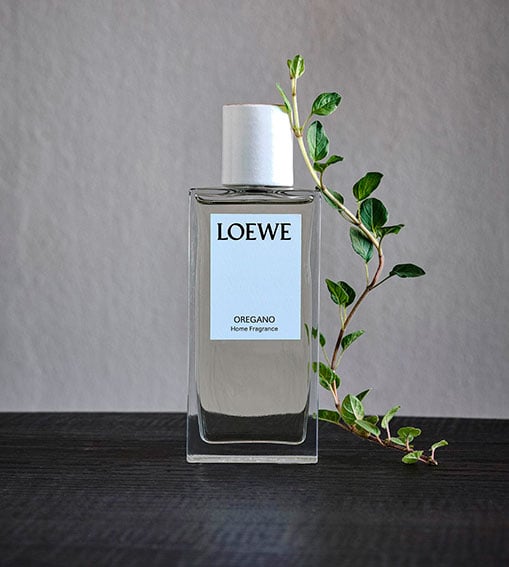 Perfumes LOEWE - Oregano Home
