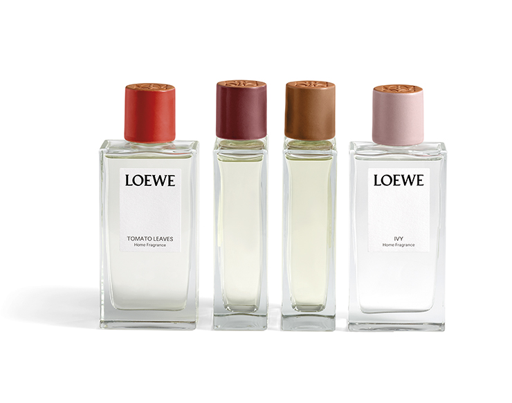 Perfumes LOEWE Scented Candles